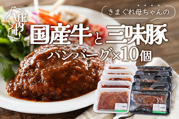 きまぐれ母ちゃんの国産牛と三味豚ハンバーグ 10個 2種類 手作り ブランド豚 国産 お惣菜 おかず お弁当 お手軽 簡単調理 温めるだけ 湯煎 冷凍 10個