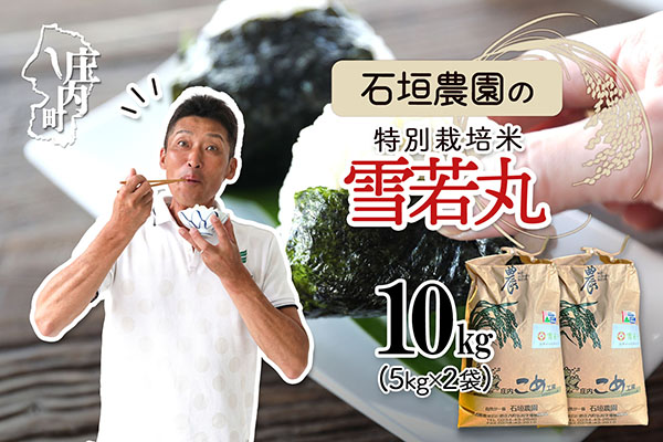 石垣農園の特別栽培米 雪若丸 10kg 5kg×2袋 令和7年産 2025年産 ブランド米 コシヒカリの原点、亀の尾発祥の地 庄内【1122-034I】 雪若丸 10kg（5kg×2袋）