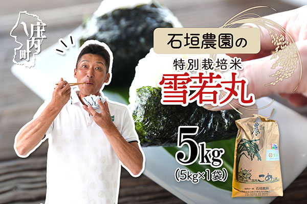石垣農園の特別栽培米 雪若丸 5kg 令和7年産 2025年産 ブランド米 コシヒカリの原点、亀の尾発祥の地 庄内 雪若丸 5kg（5kg×1袋）