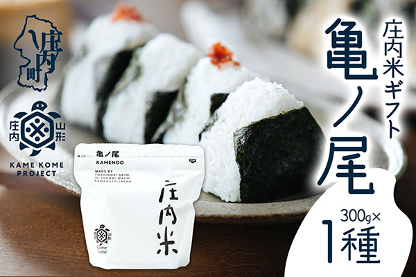 山形庄内かめこめプロジェクト 庄内米ギフト 亀ノ尾 300g×1袋 令和7年産 2025年産 ブランド米 コシヒカリの原点、亀の尾発祥の地 庄内 300g×1種　亀ノ尾