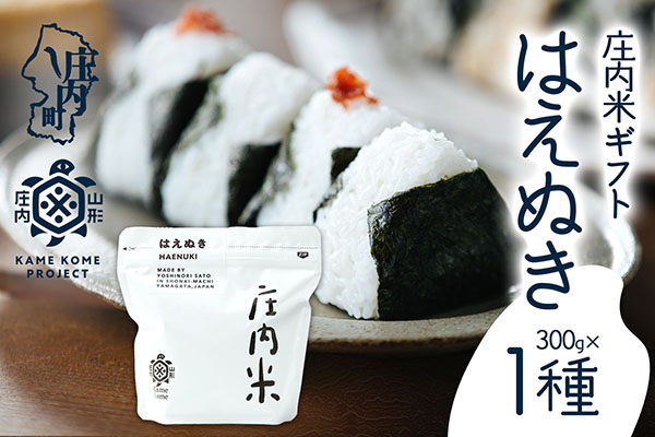 山形庄内かめこめプロジェクト 庄内米ギフト はえぬき 300g×1袋 令和7年産 2025年産 ブランド米 コシヒカリの原点、亀の尾発祥の地 庄内 300g×1種　はえぬき