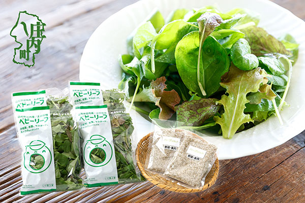 庄内産 ベビーリーフミックス 70g×4袋と野菜用ハーブ塩セット 土耕栽培 サラダ スムージー 若葉 野菜 生野菜 新鮮 山形県 冷蔵 70g×4袋 ハーブ塩セット