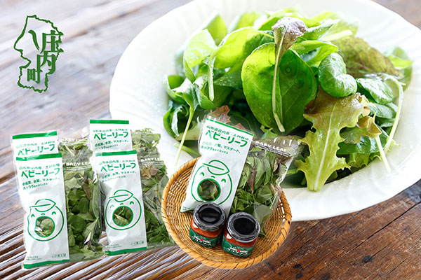 庄内産 ベビーリーフミックス 50g×5袋と国内加工サルサソースセット 土耕栽培 サラダ スムージー 若葉 野菜 生野菜 新鮮 山形県 冷蔵 50g×5袋 サルサソースセット