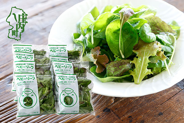 庄内産 ベビーリーフミックス 40g×8袋 土耕栽培 サラダ スムージー 若葉 野菜 生野菜 新鮮 山形県 冷蔵 40g×8袋