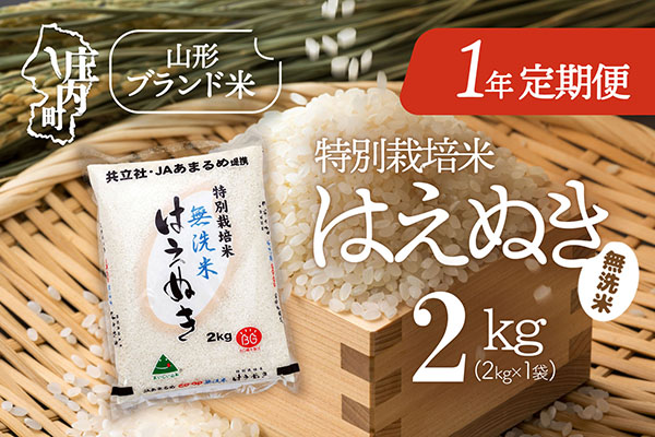 ＜4月開始＞庄内米1年定期便！特別栽培米はえぬき無洗米 2kg（入金期限：2026.3.25） 4月下旬発送 2kg×1袋