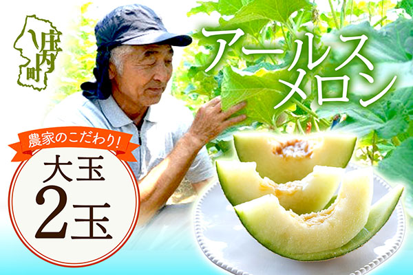 【R8.8月より順次発送】アールスメロン 大玉2玉（入金期限：2026.7.20） 大玉 2玉
