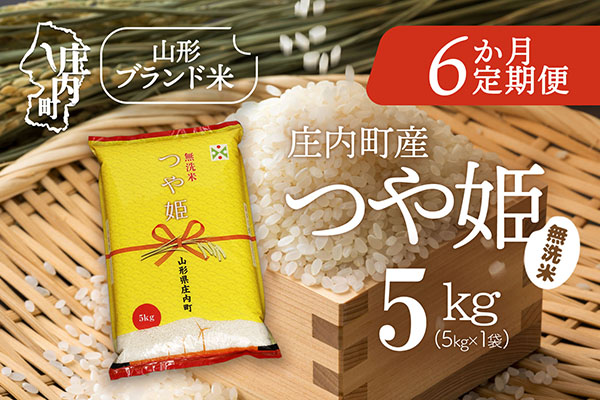 ＜2月下旬発送＞庄内米6か月定期便！つや姫無洗米 5kg（入金期限：2026.1.25） 2月下旬発送 5kg