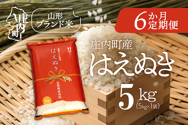 ＜12月中旬発送＞庄内米6か月定期便！はえぬき 5kg（入金期限：2025.11.25） 12月中旬発送 5kg