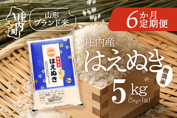 ＜1月中旬発送＞庄内米6か月定期便！はえぬき無洗米 5kg（入金期限：2025.12.25） 1月中旬発送 5kg（5kg×1袋）