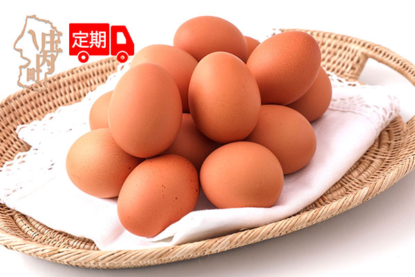 ＜1月中旬発送＞スズキのたまご 6か月定期便！ 地養卵50個（入金期限：2025.12.25） 1月中旬発送 50個