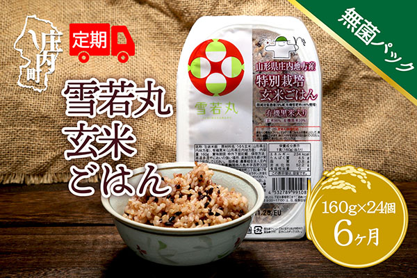 ＜1月中旬発送＞6か月定期便！雪若丸 玄米パックごはん 160g×24個（入金期限：2025.12.25） 1月中旬発送
