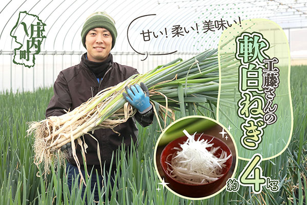 【11月より順次発送】庄内町産 工藤さんの軟白ねぎ Lサイズ30本 約4kg（入金期限：2026.2.20）