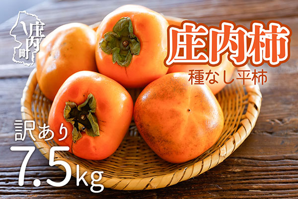 【R8.10月下旬より順次発送】庄内柿 家庭用【訳あり 少々傷あり】 M～Lサイズ 7.5kg（入金期限：2026.10.10）