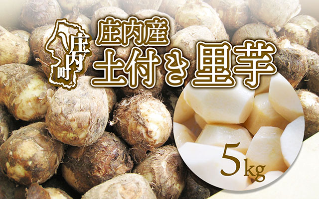 【11月中旬より順次発送】庄内産土付き里芋 5kg（入金期限：2025.12.10）