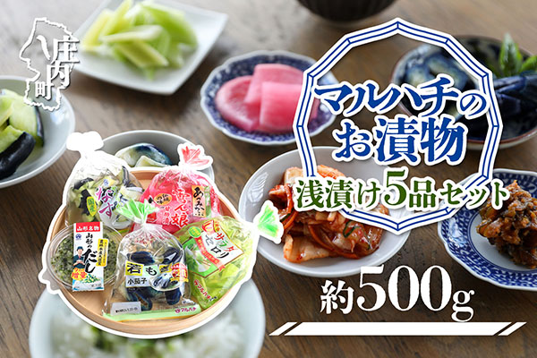 マルハチのお漬物　浅漬け5品セット