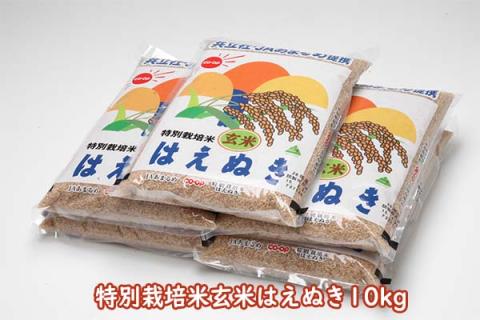 庄内町産 特別栽培米玄米はえぬき 10kg 2kg×5袋 令和7年産 2025年産 ブランド米 コシヒカリの原点、亀の尾発祥の地 庄内