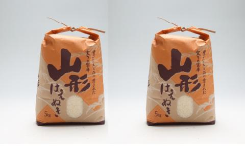 渡會さんのうまい米！はえぬき 10kg 5kg×2袋 令和7年産 2025年産 ブランド米 コシヒカリの原点、亀の尾発祥の地 庄内【1028-023I】 はえぬき 10kg（5kg×2袋）
