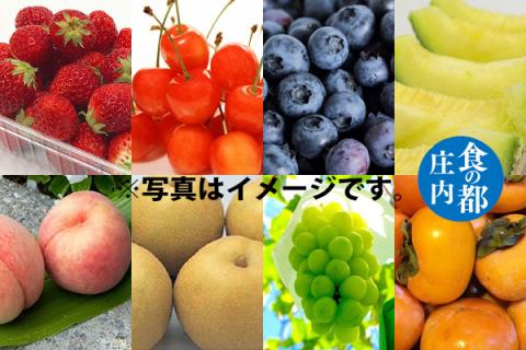 【R8.3月より発送開始】食の都庄内 厳選フルーツ便B（入金期限：2026.2.28）いちご さくらんぼ ブルーベリー メロン 桃 和梨 シャインマスカット 庄内柿 全8回配送 常温便 冷蔵便 Bコース