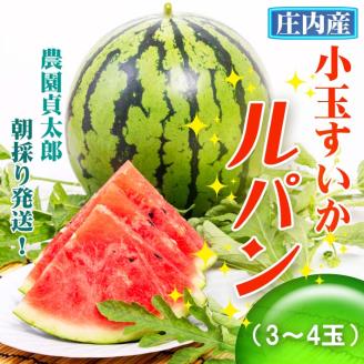 【R8.7月下旬より順次発送】農園貞太郎 小玉スイカ ルパン 3～4玉（入金期限：2026.7.10）