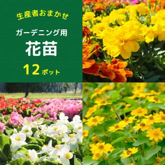 【R8.5月下旬より順次発送】ガーデニング用花苗 生産者おまかせ 12ポット（入金期限：2026.5.20） 生産者おまかせ