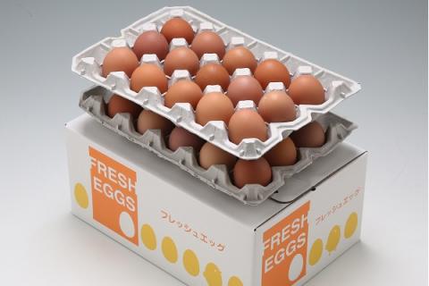 スズキのたまご　地養卵　MS～L　30個