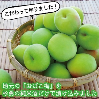 遊佐の酒蔵が純米酒で造った梅酒セット