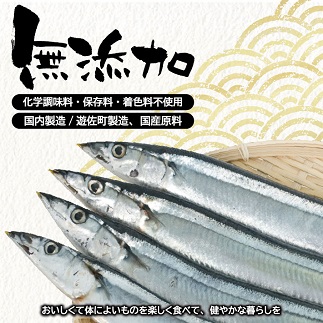 じっくりコトコト丁寧に煮込んだ「国産さんまの佃煮」3切×10パック 10パック
