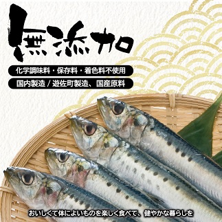 つゆもおダシで使えて2度おいしい「国産いわしの水煮」120g×5パック 5パック