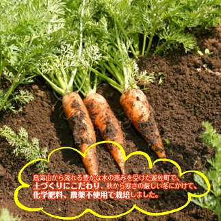 キャロットジュース「鳥海山キャロット」6本