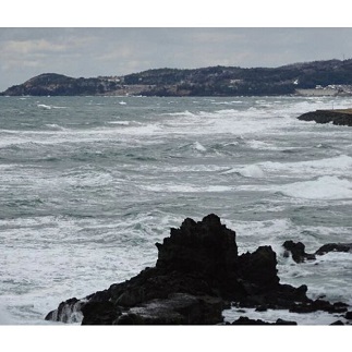 遊佐町吹浦産　天然岩のり　のり1枚