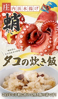 タコ炊き飯の素 2合用×3パック