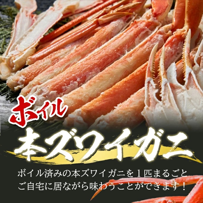 遊佐沖　春のボイル・本ズワイガニ 1匹 500g程度