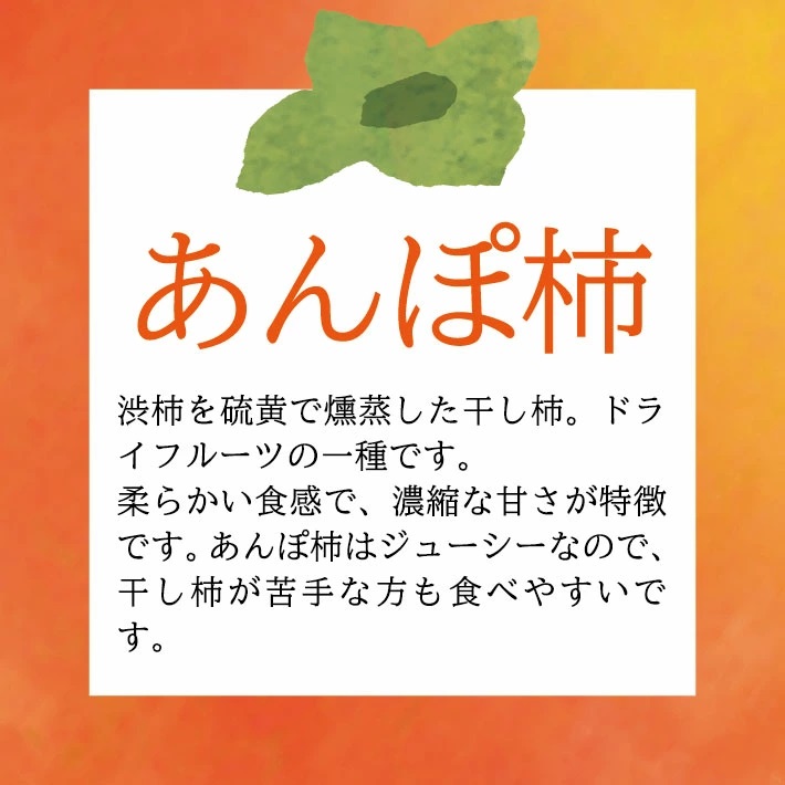 庄内あんぽ柿「遊味」 2箱セット 3個入×4袋×2箱 山形県遊佐町産 庄内柿 2026年12月上旬～2027年1月下旬頃にお届け 冷蔵便 ※離島発送不可 東北 庄内地方 干柿 かき カキ 特別栽培柿 エコファーマー 乾燥果実 ドライフルーツ 半生 2箱