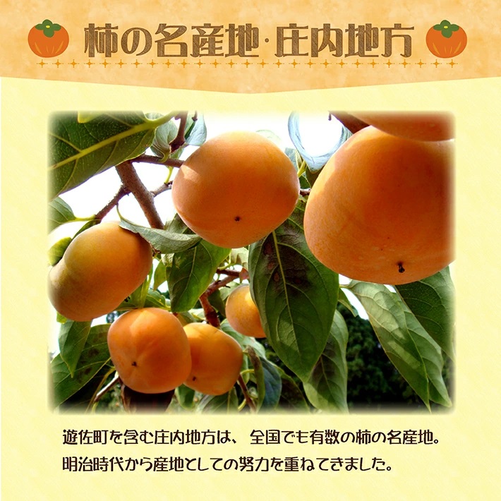 庄内柿 7.5kg 山形県遊佐町産 10月下旬～11月中旬頃お届け ※着日指定不可 東北 山形県 遊佐町 庄内地方 柿 カキ かき 種なし 種無し 平核無柿