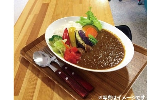 遊佐カレーレトルト2種4箱セット