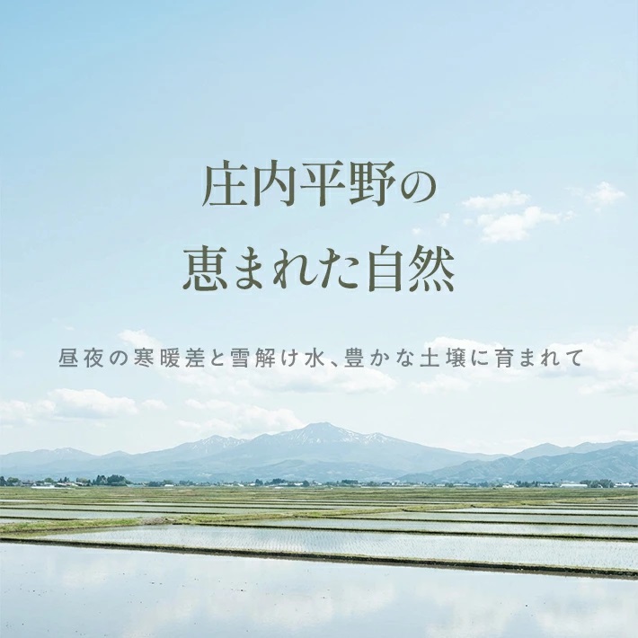 庄内産つや姫5kg（令和7年産米）2月中旬