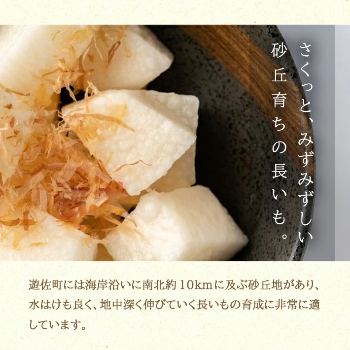 長いも 5.0kg（4～6本）山形県遊佐町産