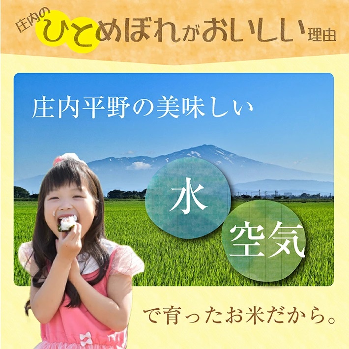 庄内産ひとめぼれ5kg（令和7年産米）5月下旬