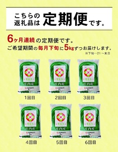 【定期便】庄内産雪若丸5kg×6ヶ月連続(5月～10月)
