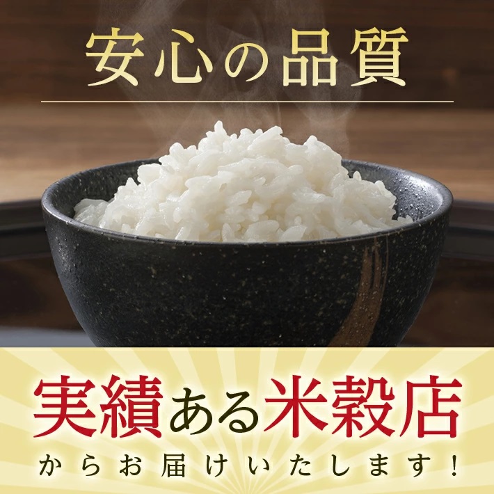 無洗米 こつぶ姫 5kg×1袋 計10kg　4月上旬