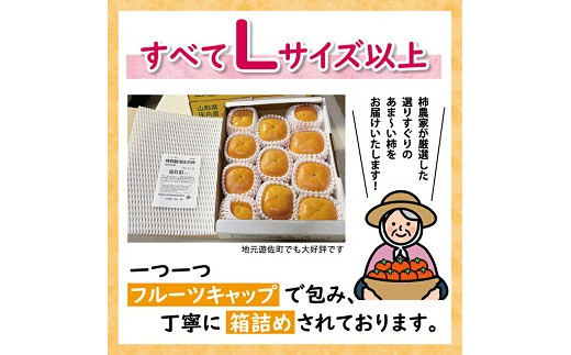 特別栽培庄内柿 2.5kg L～3Lサイズ 11～12個入り 山形県遊佐町産 2026年11月上旬～12月上旬頃お届け ※着日指定不可 東北 山形県 遊佐町 庄内地方 種無し柿 カキ かき 種無し