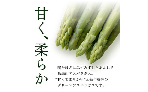 鳥海山アスパラガス 1.2kg 2026年3月下旬～8月下旬頃お届け 山形県遊佐町産 冷蔵便 ※離島発送・着日指定不可 野菜 アスパラ グリーンアスパラガス 農家直送 産地直送 山形県 遊佐町 庄内 春 夏