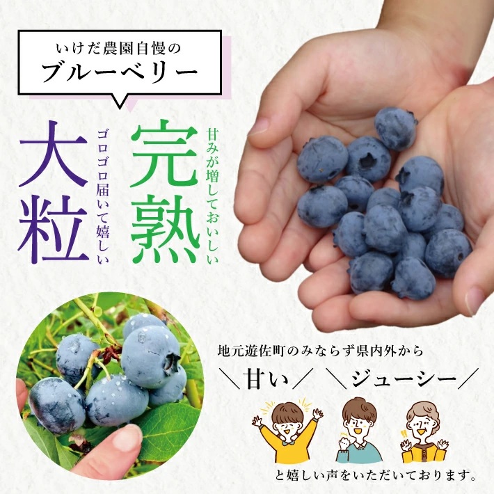 大粒ブルーベリー 500g×2パック 計1kg 化粧箱入 6月下旬～7月上旬頃お届け 山形県遊佐産 冷蔵便 ※着日指定・離島発送不可 果物 くだもの フルーツ ブルーベリー 国産 東北 山形県 遊佐町 庄内