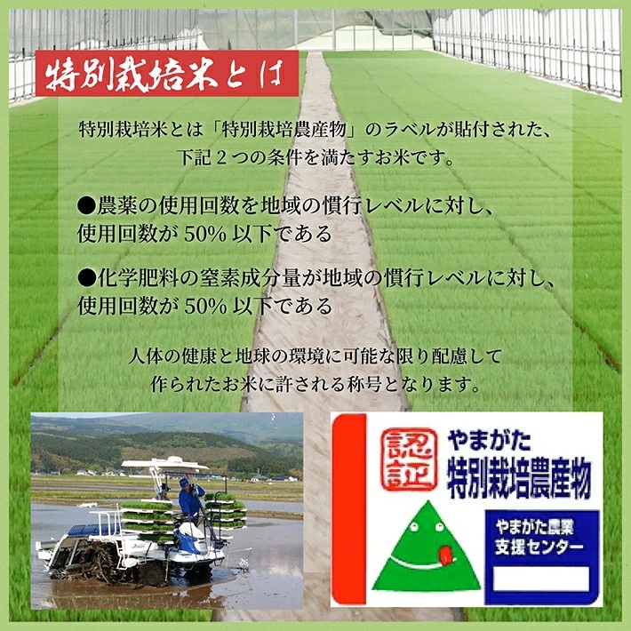 特別栽培米 はえぬき 5kg 白米 令和7年産 山形県産 東北 山形県 遊佐町 庄内地方 米 お米 庄内米 精米 ご飯 ごはん 産地直送 農家直送