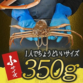 遊佐沖　生・本ズワイガニ 1匹 350g程度