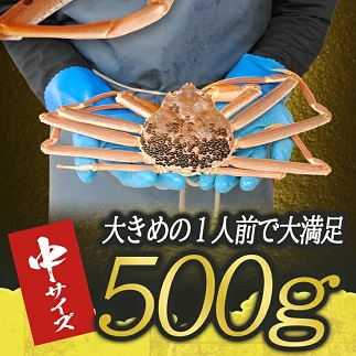 遊佐沖　生・本ズワイガニ 1匹 500g程度