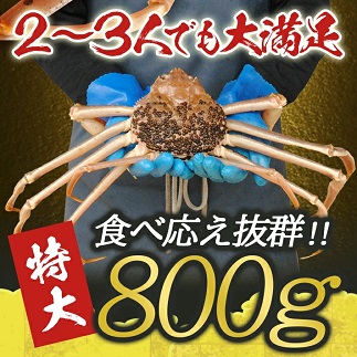 遊佐沖　生・本ズワイガニ 1匹 800g程度