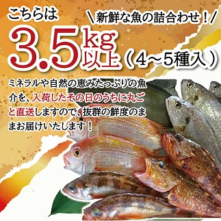 地魚おまかせセット　4～5種類入り計3.5kg以上