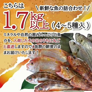 地魚おまかせセット　4～5種類入り計1.7kg以上