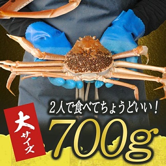 遊佐沖　春の生・本ズワイガニ 1匹 700g程度